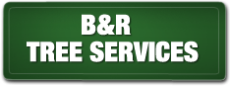 b and r tree services brisbane