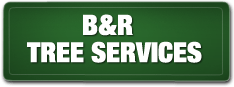 b and r tree services