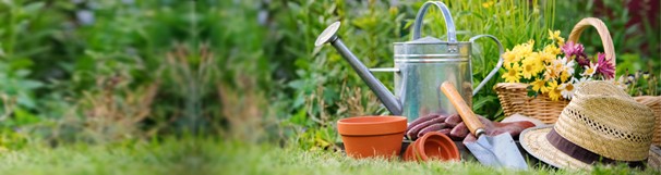 gardening