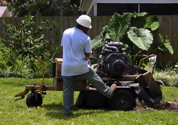 stump grinding brisbane