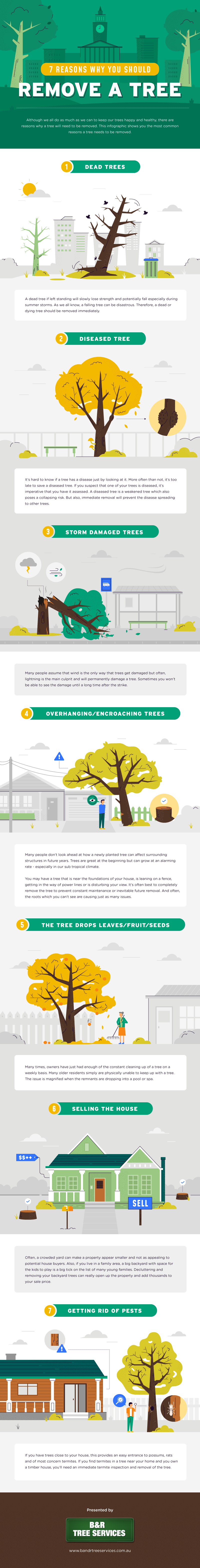 yes - 7 Reasons Why You Should Remove a Tree 3007-min